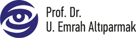 Prof. Dr. Uğur Emrah Altıparmak